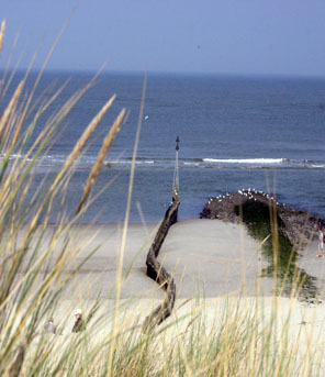 Dünenlandschaft an der Nordsee